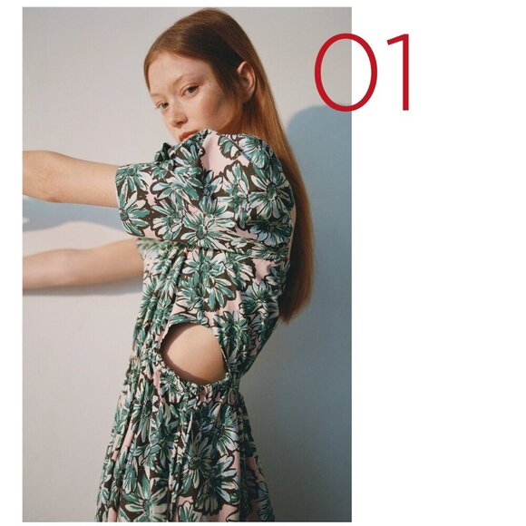 ZARA PRINTED POPLIN DRESS Size S NEW WITH TAG! - Picture 8 of 16